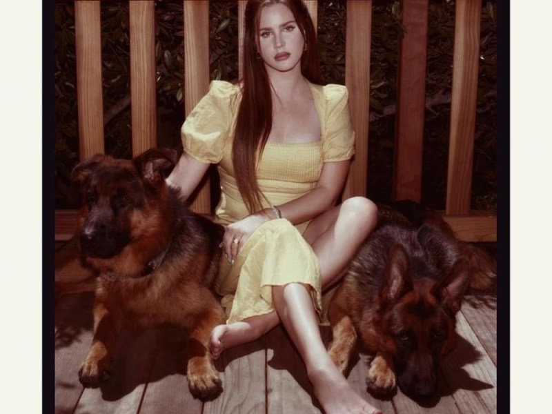 Wildflower Wildfire by Lana Del&nbsp;Rey